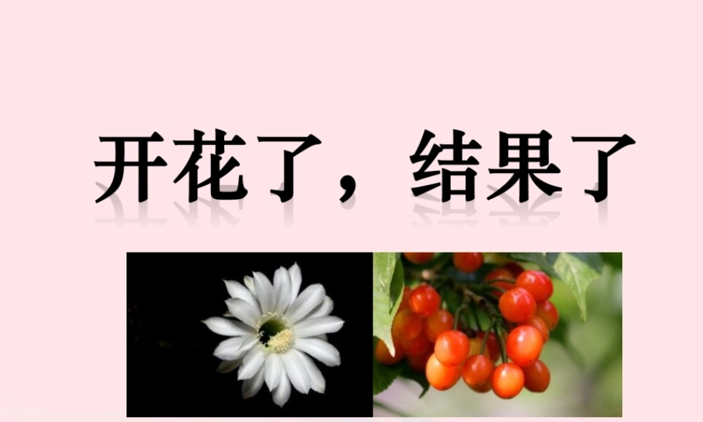 三年级科学下册 植物的生长变化 6 开花了 结果了课件 教科版-教科版小学三年级下册自然科学课件