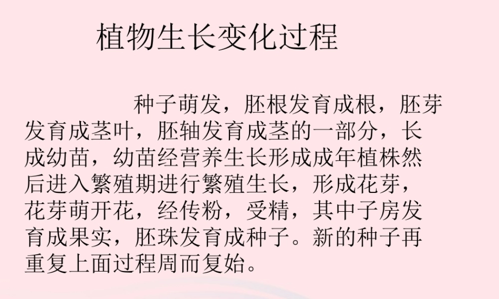 三年级科学下册 二 植物的生长 4《是什么在影响植物生长》课件2 新人教版0-新人教版小学三年级下册自然科学课件