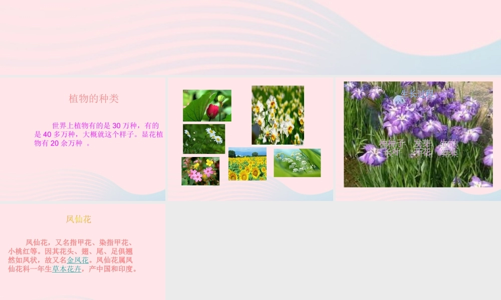 三年级科学下册 二 植物的生长 4《是什么在影响植物生长》课件2 新人教版0-新人教版小学三年级下册自然科学课件