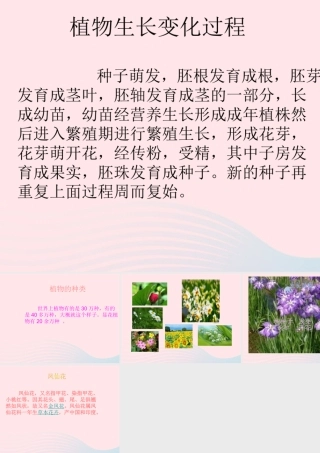 三年级科学下册 二 植物的生长 4《是什么在影响植物生长》课件2 新人教版0-新人教版小学三年级下册自然科学课件