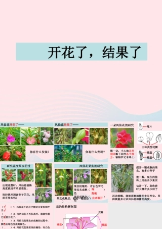 三年级科学下册 植物的生长变化 6 开花了结果了课件2 教科版-教科版小学三年级下册自然科学课件