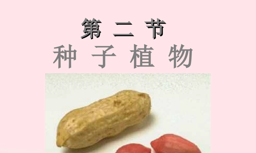 三年级科学下册 二 植物的生长 第1课《植物的种子》课件2 新人教版-新人教版小学三年级下册自然科学课件