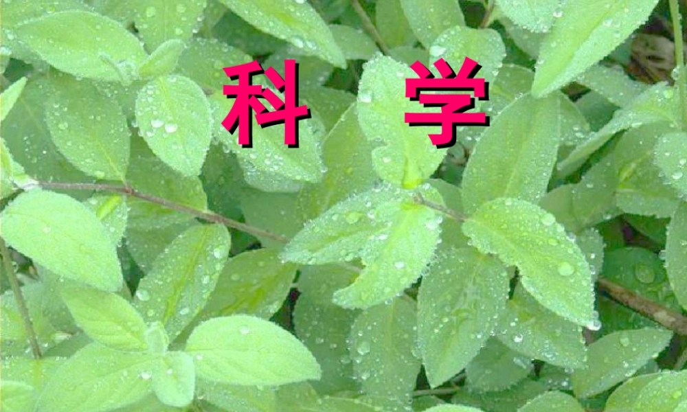 三年级科学下册 第二单元 第6课《空气在哪里》课件2 青岛版五四制-青岛版小学三年级下册自然科学课件