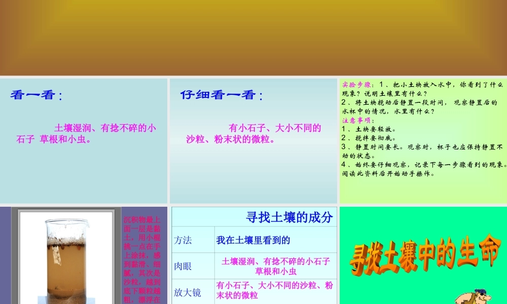 三年级科学下册 三 植物生活的土地 1《土壤里有什么》课件1 新人教版-新人教版小学三年级下册自然科学课件