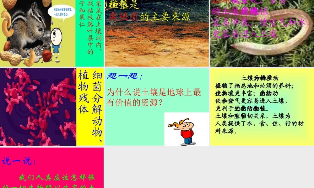 三年级科学下册 三 植物生活的土地 1《土壤里有什么》课件1 新人教版-新人教版小学三年级下册自然科学课件