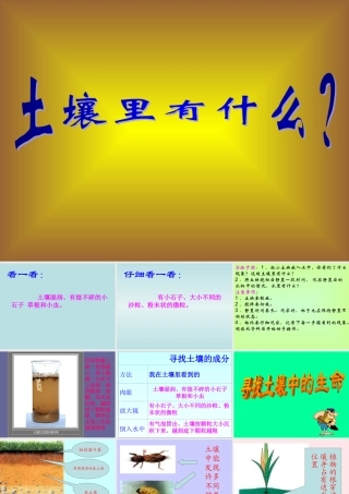 三年级科学下册 三 植物生活的土地 1《土壤里有什么》课件1 新人教版-新人教版小学三年级下册自然科学课件