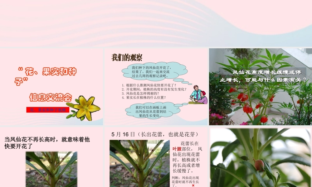三年级科学下册 植物的生长变化 6《开花了 结果了》课件 教科版-教科版小学三年级下册自然科学课件