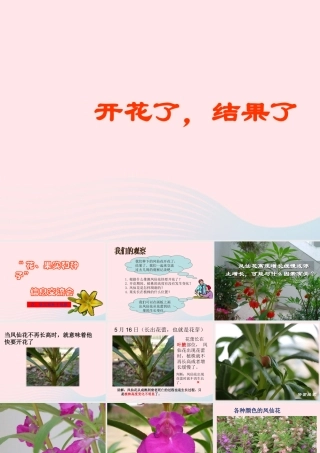 三年级科学下册 植物的生长变化 6《开花了 结果了》课件 教科版-教科版小学三年级下册自然科学课件