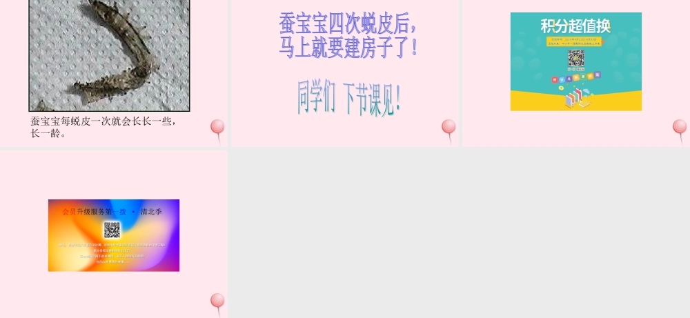 三年级科学下册 第二单元 第7课《可爱的蚕宝宝》课件1 鄂教版-鄂教版小学三年级下册自然科学课件