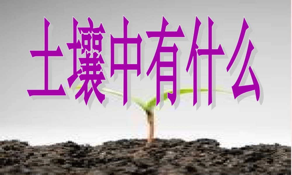 三年级科学下册 三 植物生活的土地 1《土壤里有什么》课件2 新人教版-新人教版小学三年级下册自然科学课件