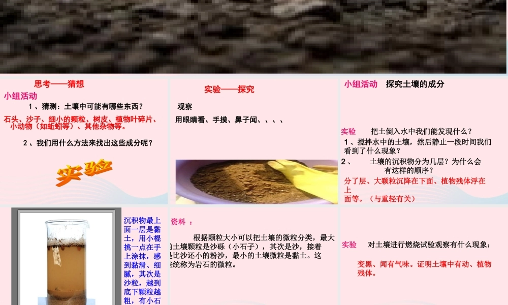 三年级科学下册 三 植物生活的土地 1《土壤里有什么》课件2 新人教版-新人教版小学三年级下册自然科学课件