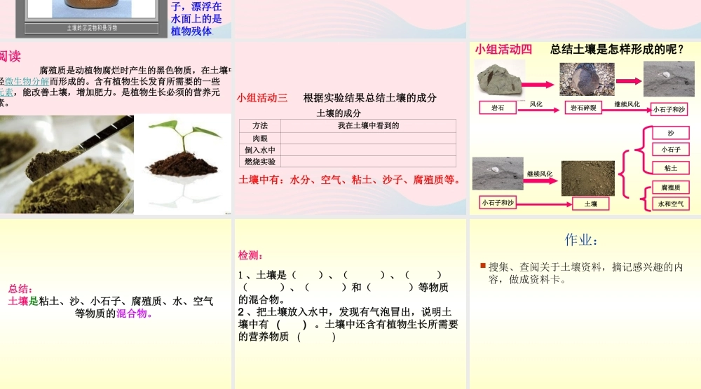 三年级科学下册 三 植物生活的土地 1《土壤里有什么》课件2 新人教版-新人教版小学三年级下册自然科学课件