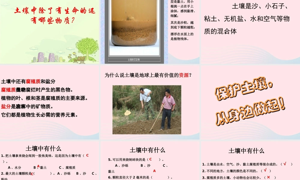 三年级科学下册 三 植物生活的土地 1《土壤里有什么》课件3 新人教版-新人教版小学三年级下册自然科学课件