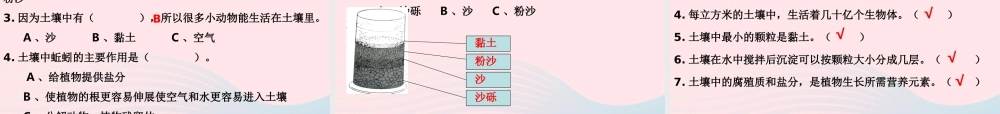 三年级科学下册 三 植物生活的土地 1《土壤里有什么》课件3 新人教版-新人教版小学三年级下册自然科学课件