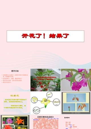 三年级科学下册 植物的生长变化 6《开花了结果了》课件 教科版-教科版小学三年级下册自然科学课件