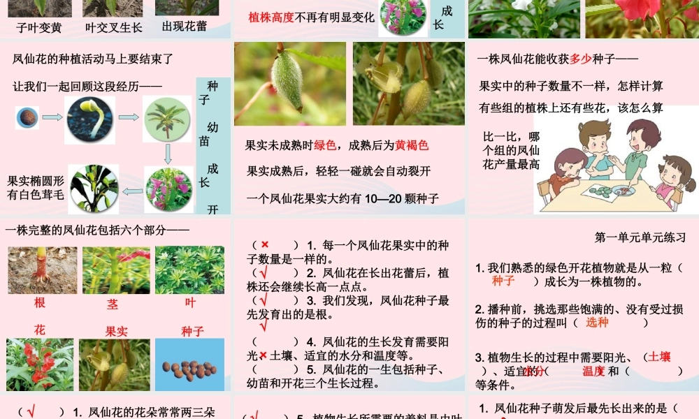 三年级科学下册 植物的生长变化 7 我们的大丰收课件1 教科版-教科版小学三年级下册自然科学课件