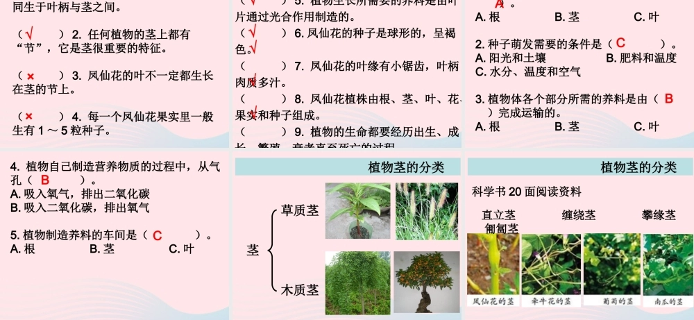 三年级科学下册 植物的生长变化 7 我们的大丰收课件1 教科版-教科版小学三年级下册自然科学课件