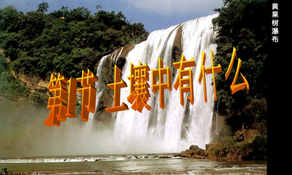 三年级科学下册 三 植物生活的土地 1《土壤里有什么》课件4 新人教版-新人教版小学三年级下册自然科学课件