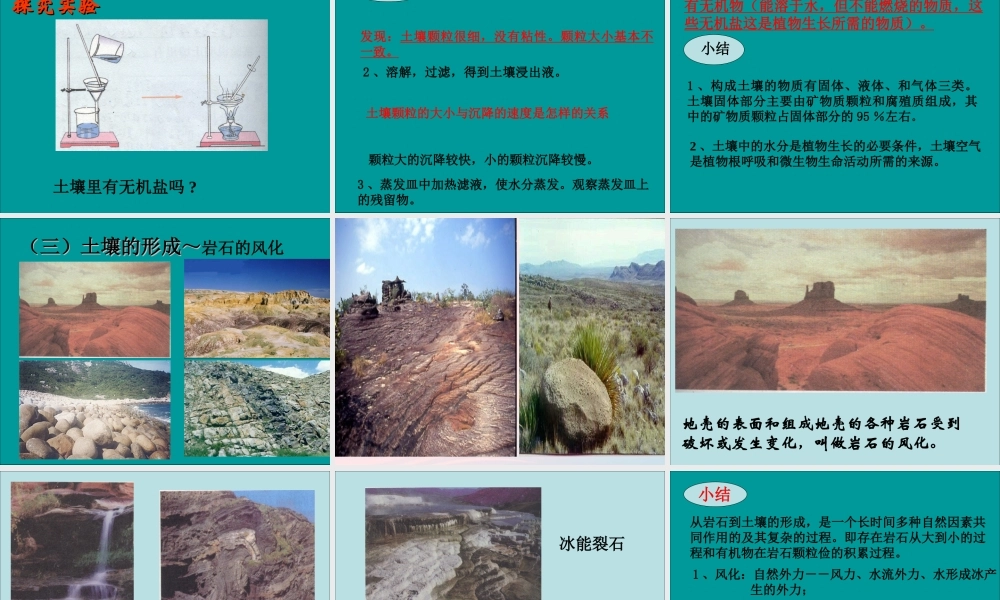 三年级科学下册 三 植物生活的土地 1《土壤里有什么》课件4 新人教版-新人教版小学三年级下册自然科学课件