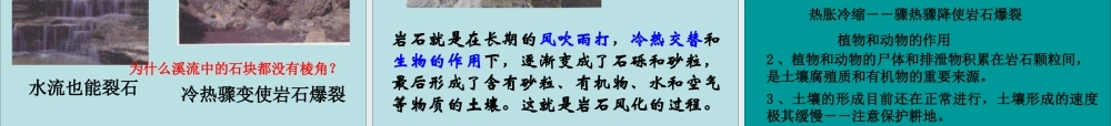 三年级科学下册 三 植物生活的土地 1《土壤里有什么》课件4 新人教版-新人教版小学三年级下册自然科学课件