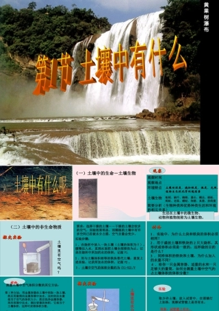 三年级科学下册 三 植物生活的土地 1《土壤里有什么》课件4 新人教版-新人教版小学三年级下册自然科学课件
