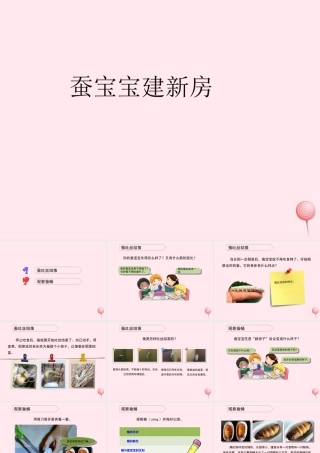 三年级科学下册 第二单元 第8课《蚕宝宝建新房》课件1 鄂教版-鄂教版小学三年级下册自然科学课件