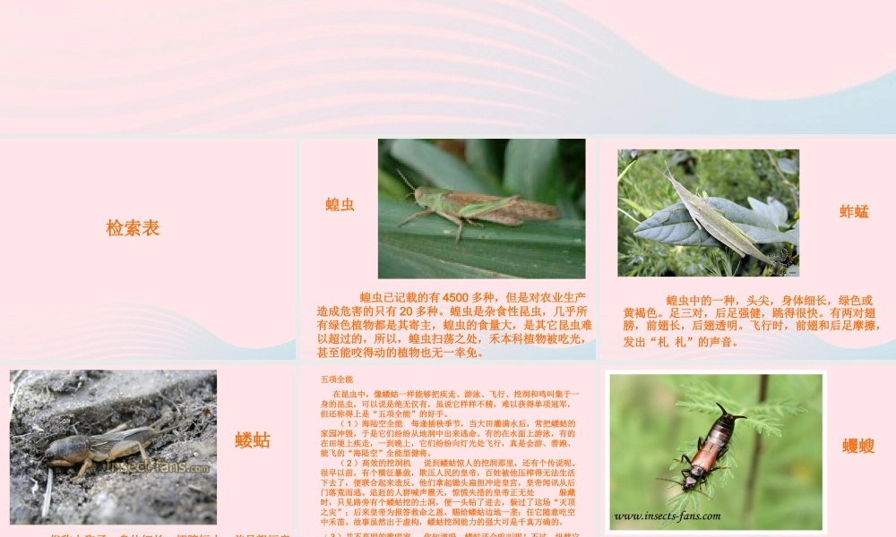 三年级科学下册 三 植物生活的土地 2《土壤中的动物》课件1 新人教版-新人教版小学三年级下册自然科学课件