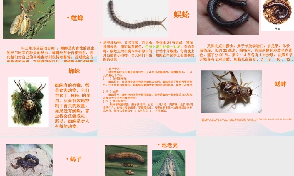 三年级科学下册 三 植物生活的土地 2《土壤中的动物》课件1 新人教版-新人教版小学三年级下册自然科学课件