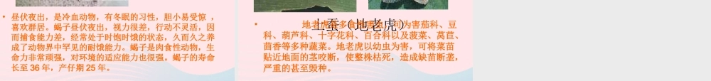 三年级科学下册 三 植物生活的土地 2《土壤中的动物》课件1 新人教版-新人教版小学三年级下册自然科学课件