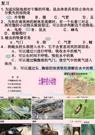 三年级科学下册 三 植物生活的土地 2《土壤中的动物》课件2 新人教版-新人教版小学三年级下册自然科学课件
