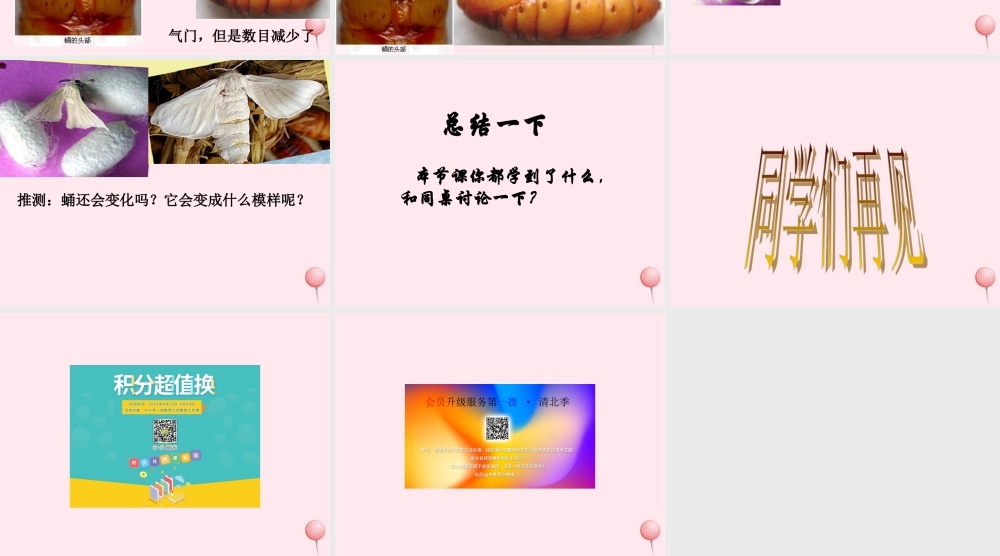 三年级科学下册 第二单元 第8课《蚕宝宝建新房》课件3 鄂教版-鄂教版小学三年级下册自然科学课件