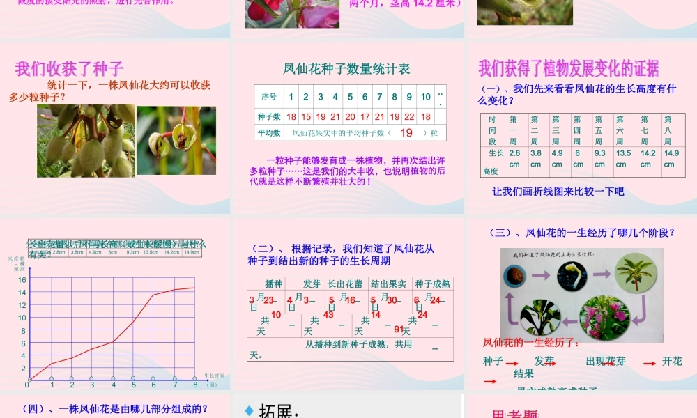 三年级科学下册 植物的生长变化 7 我们的大丰收课件3 教科版-教科版小学三年级下册自然科学课件