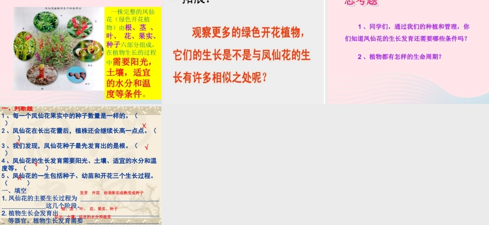 三年级科学下册 植物的生长变化 7 我们的大丰收课件3 教科版-教科版小学三年级下册自然科学课件