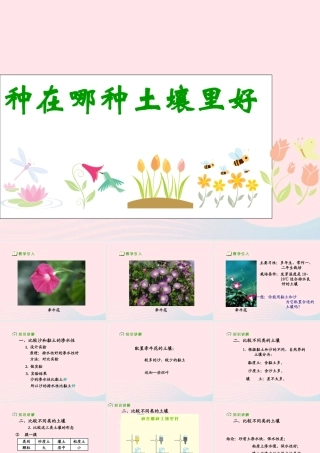 三年级科学下册 三 植物生活的土地 3《种在哪种土壤里好》课件1 新人教版-新人教版小学三年级下册自然科学课件
