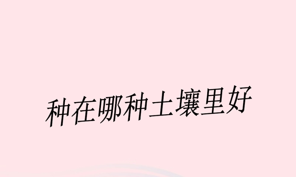 三年级科学下册 三 植物生活的土地 3《种在哪种土壤里好》课件2 新人教版-新人教版小学三年级下册自然科学课件