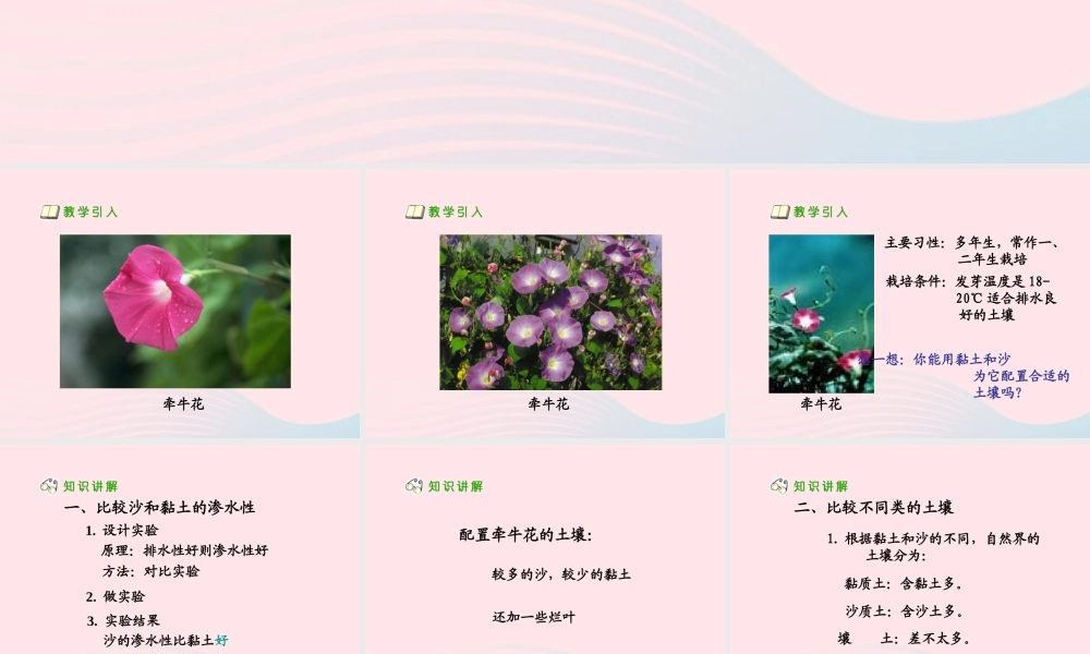 三年级科学下册 三 植物生活的土地 3《种在哪种土壤里好》课件2 新人教版-新人教版小学三年级下册自然科学课件