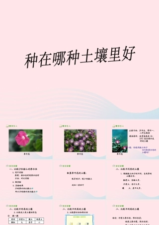 三年级科学下册 三 植物生活的土地 3《种在哪种土壤里好》课件2 新人教版-新人教版小学三年级下册自然科学课件
