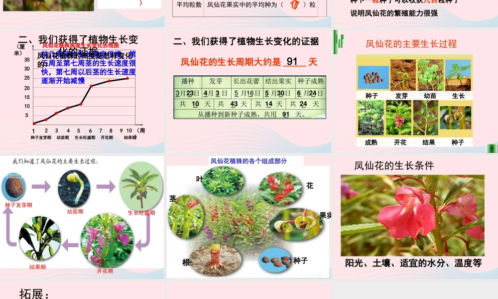 三年级科学下册 植物的生长变化 7我们的大丰收课件 教科版-教科版小学三年级下册自然科学课件