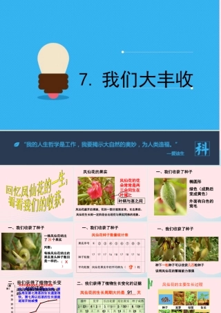 三年级科学下册 植物的生长变化 7我们的大丰收课件 教科版-教科版小学三年级下册自然科学课件