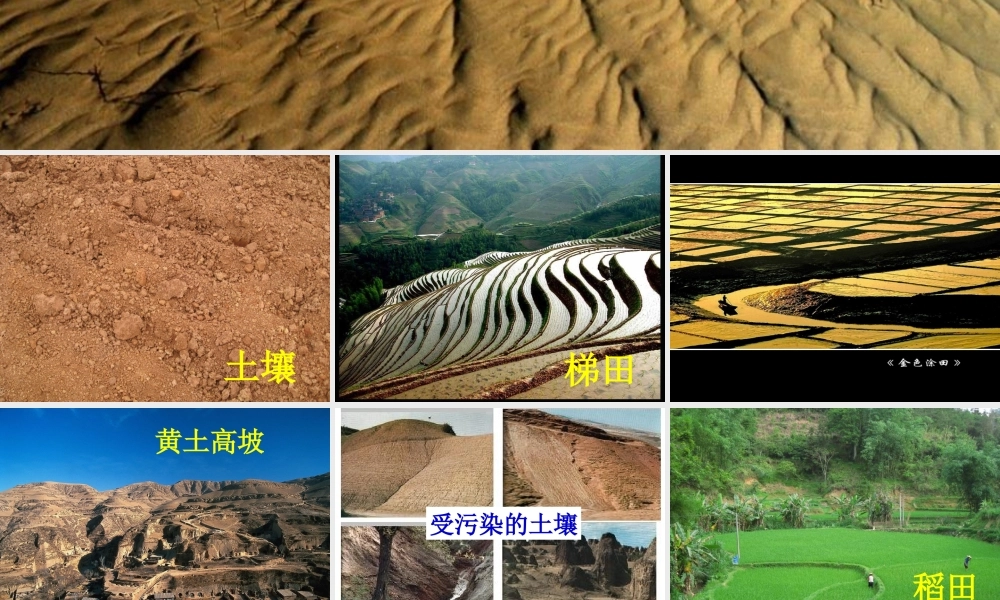 三年级科学下册 三 植物生活的土地 4《土壤的保护》课件1 新人教版-新人教版小学三年级下册自然科学课件