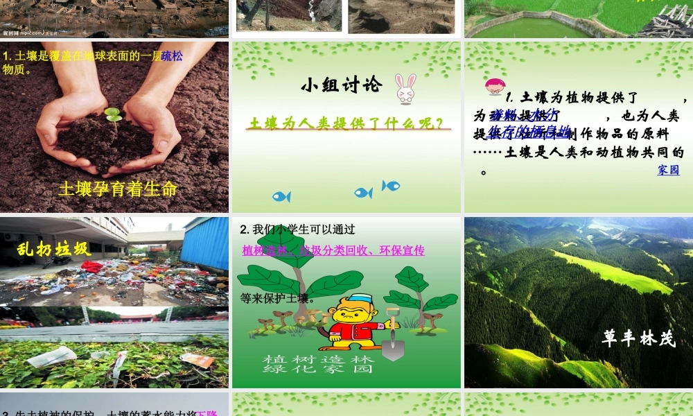 三年级科学下册 三 植物生活的土地 4《土壤的保护》课件1 新人教版-新人教版小学三年级下册自然科学课件