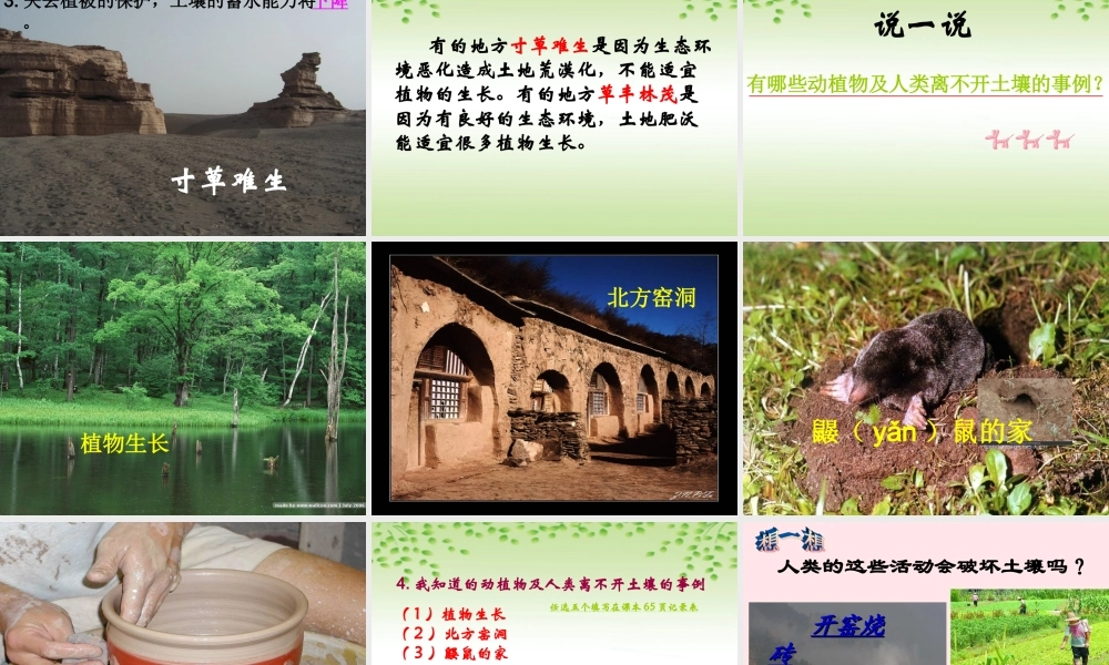 三年级科学下册 三 植物生活的土地 4《土壤的保护》课件1 新人教版-新人教版小学三年级下册自然科学课件