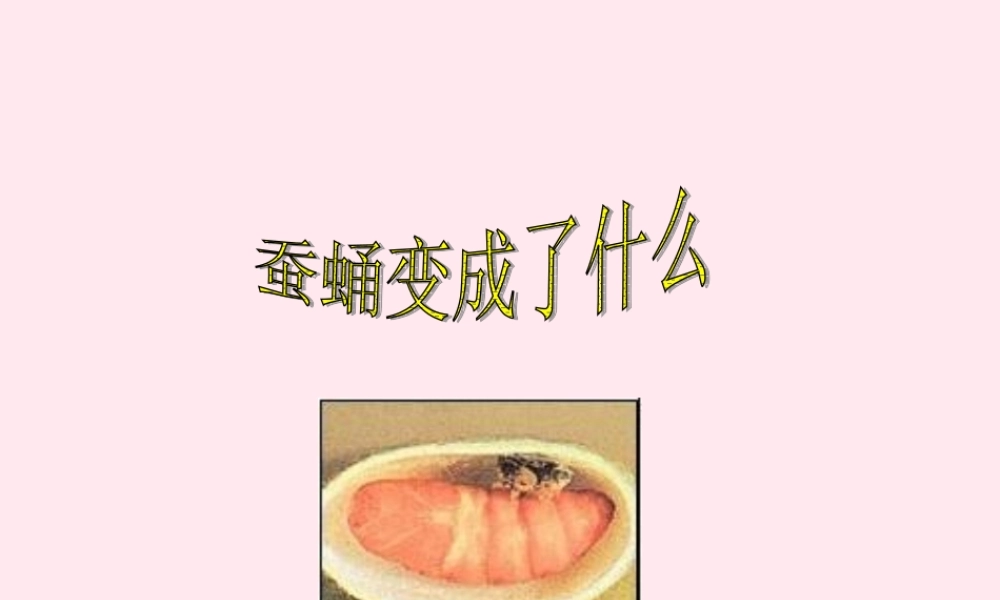 三年级科学下册 第二单元 第9课《蚕蛹变成了什么》课件2 鄂教版-鄂教版小学三年级下册自然科学课件