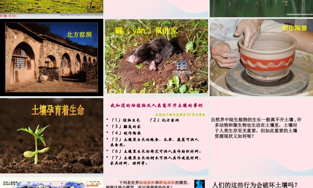 三年级科学下册 三 植物生活的土地 4《土壤的保护》课件2 新人教版-新人教版小学三年级下册自然科学课件