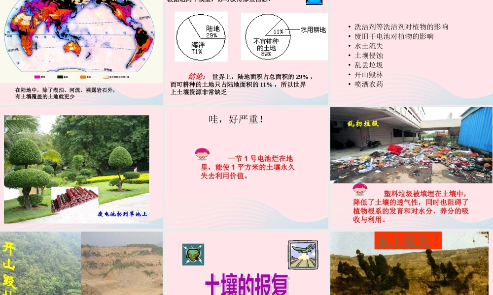 三年级科学下册 三 植物生活的土地 4《土壤的保护》课件2 新人教版-新人教版小学三年级下册自然科学课件