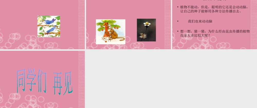 三年级科学下册 植物怎样传播种子 2课件 首师大版