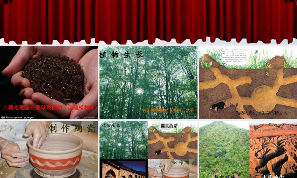 三年级科学下册 三 植物生活的土地 4《土壤的保护》课件3 新人教版-新人教版小学三年级下册自然科学课件