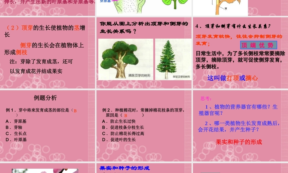 三年级科学下册 植物怎样度过一生 1课件 首师大版