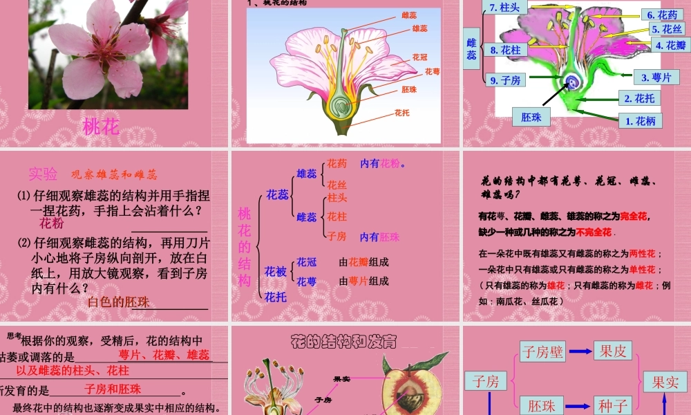三年级科学下册 植物怎样度过一生 1课件 首师大版