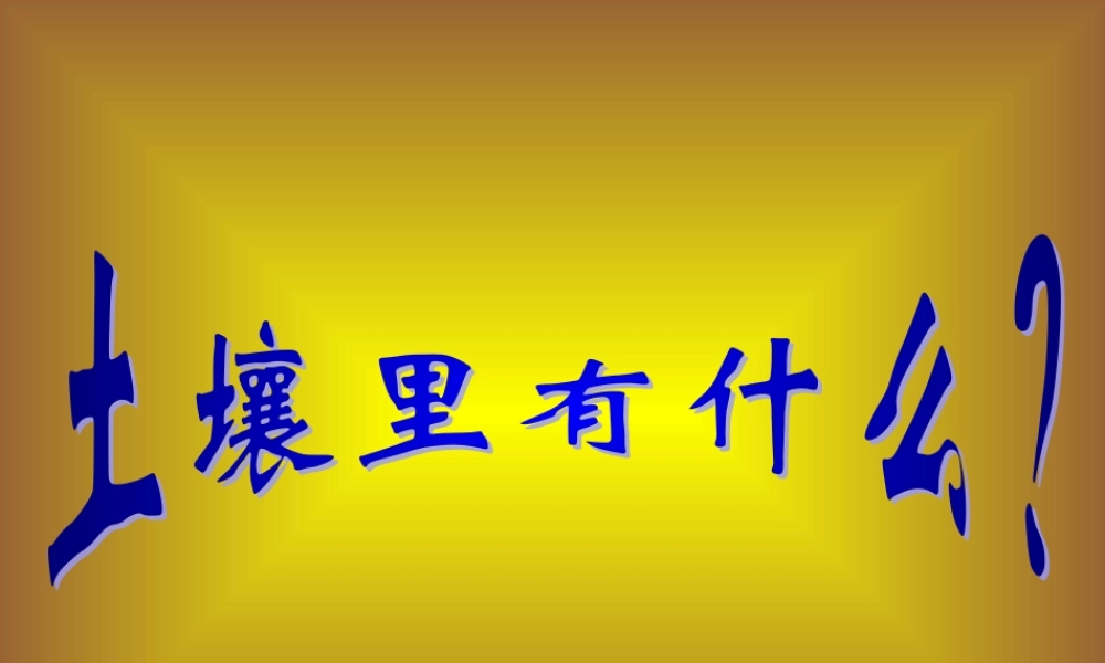 三年级科学下册 三 植物生活的土地 第1课《土壤里有什么》课件 新人教版-新人教版小学三年级下册自然科学课件